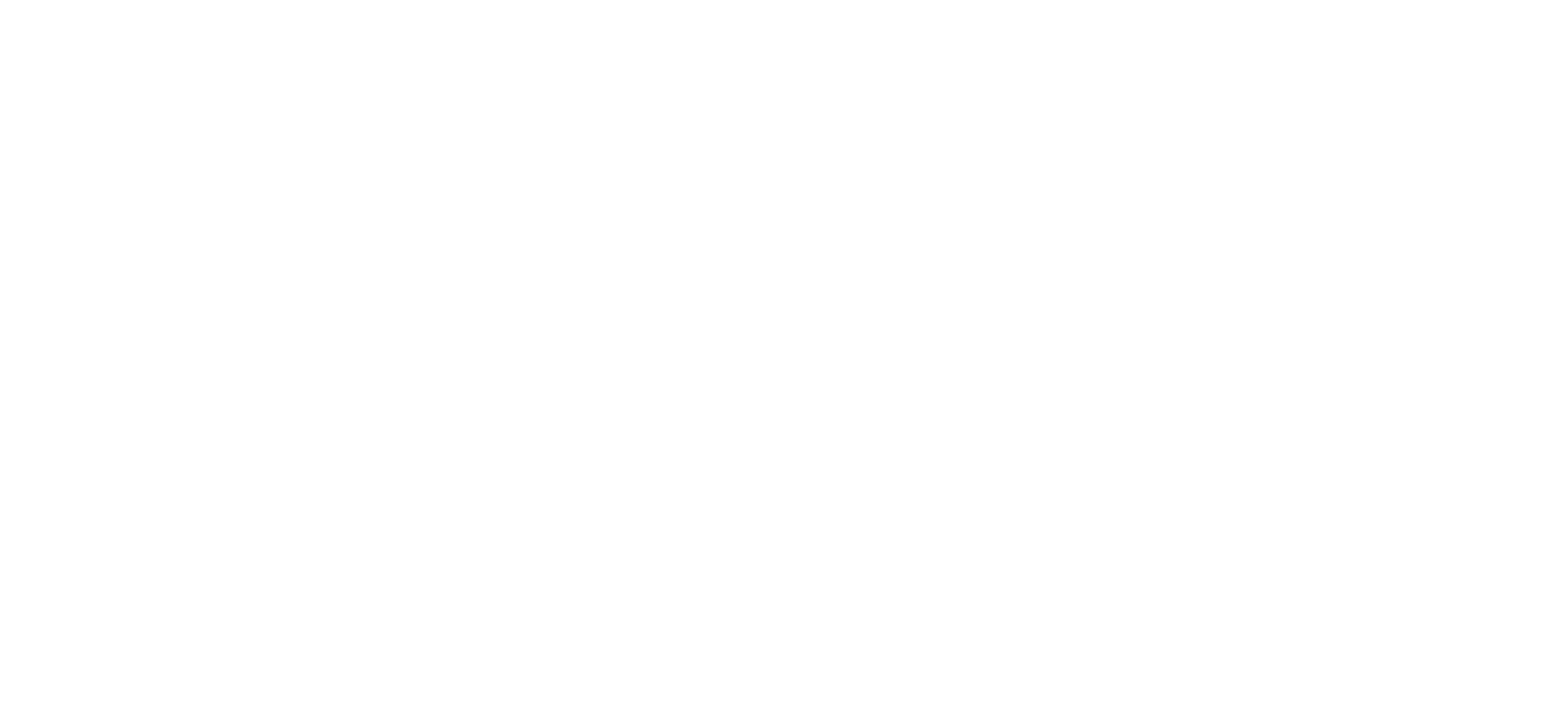logo 21pinchos wit